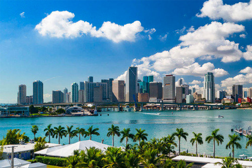 Online Psychiatrists Miami, FL
