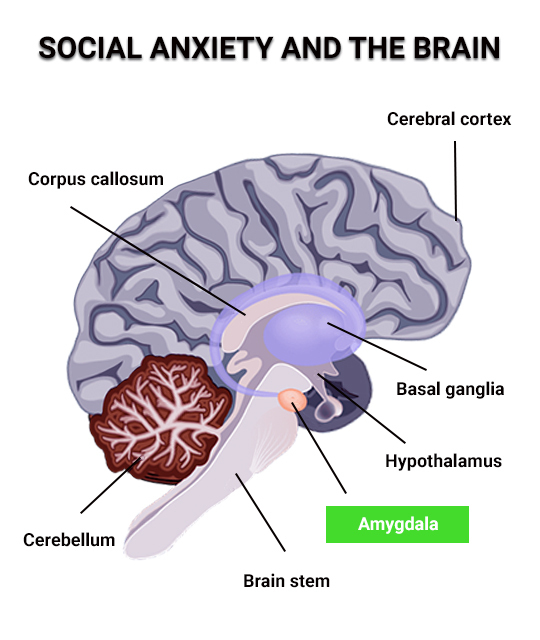 Social Anxiety Therapy NYC